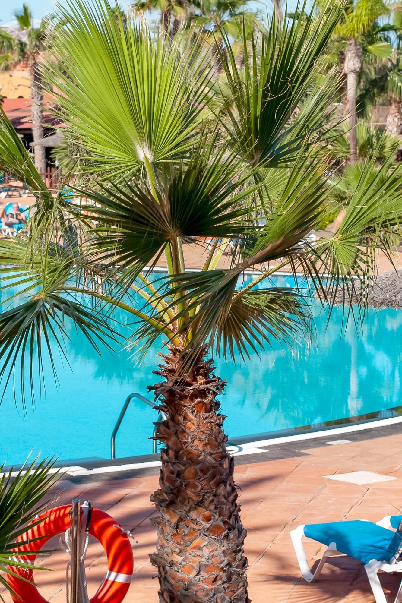 Fuerteventurapartments Corralejo Eksteriør billede